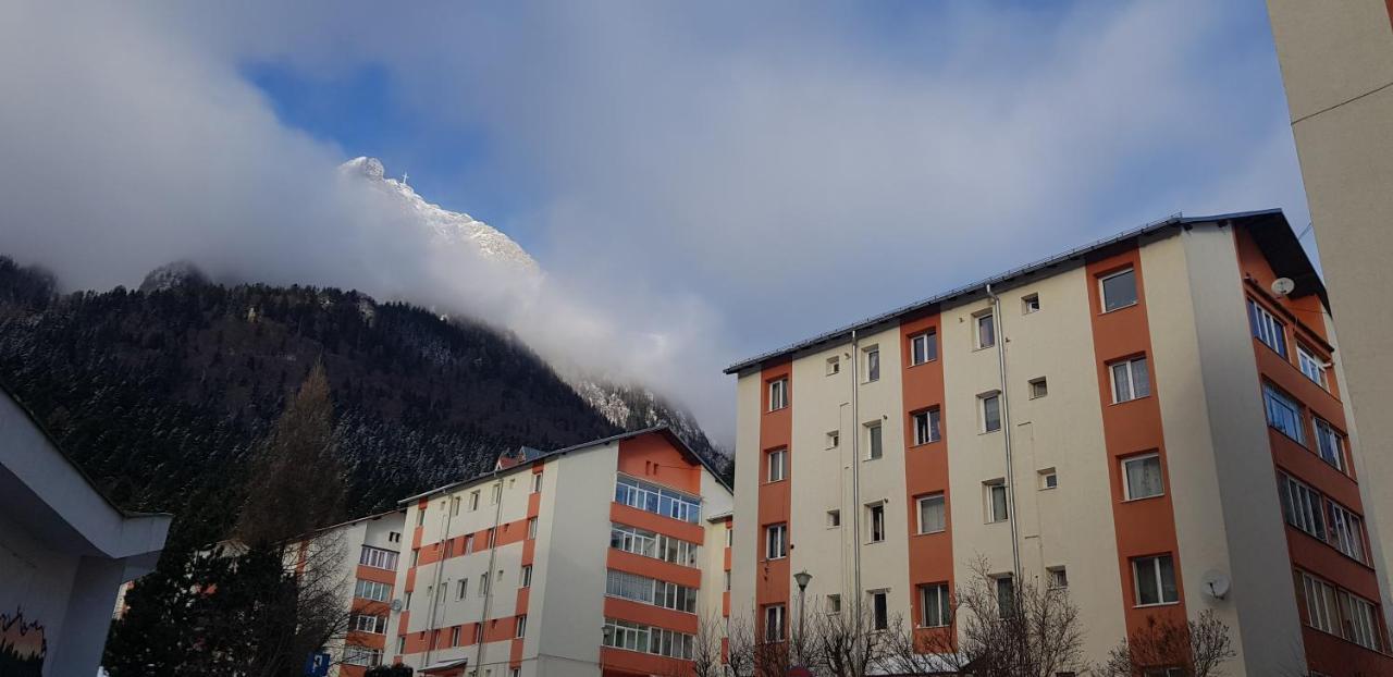 Apartament Silva Buşteni Buitenkant foto